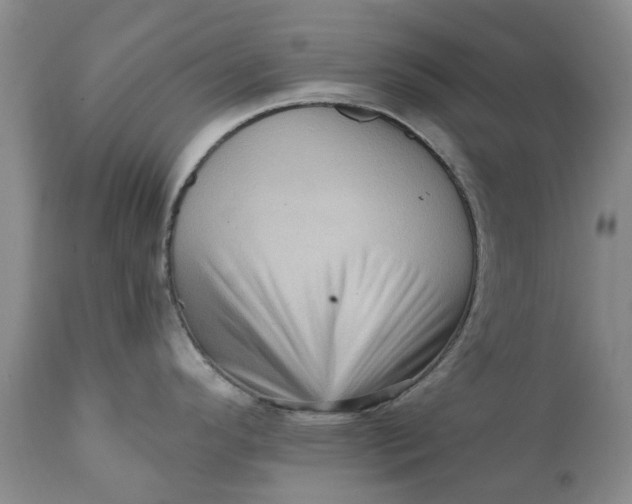 X0000111361296200907241213