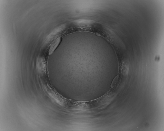 X0000111361298200907241213