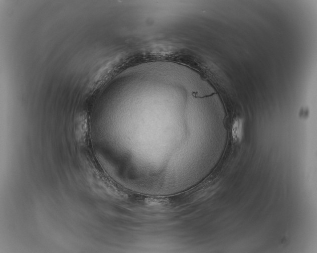 X0000111361299200907241213