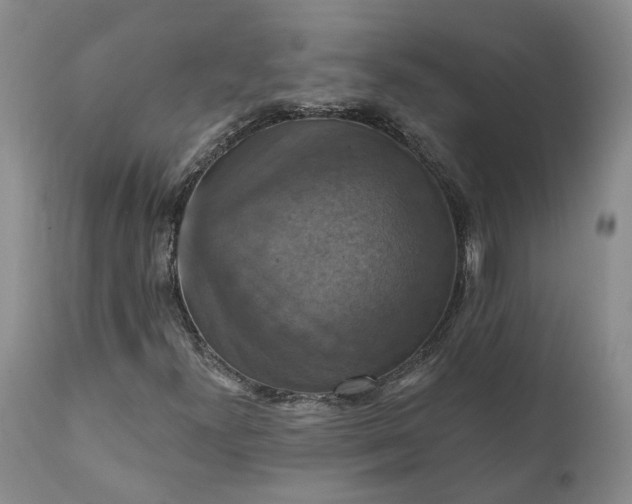 X0000111361300200907241213