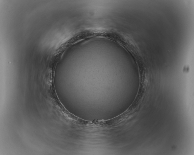 X0000111361301200907241213