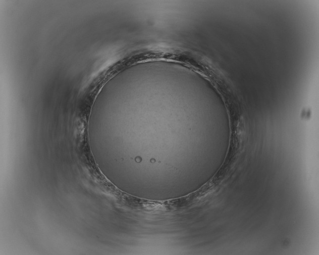 X0000111361302200907241213