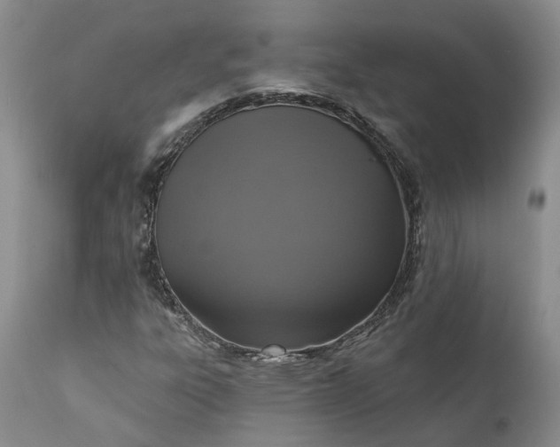 X0000111361303200907241213