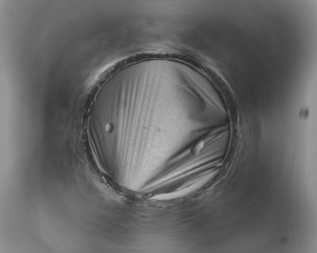 X0000111361304200907241213