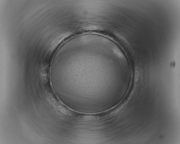 X0000111361305200907241213