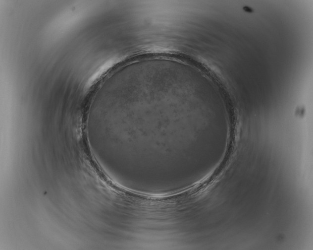 X0000111361306200907241213