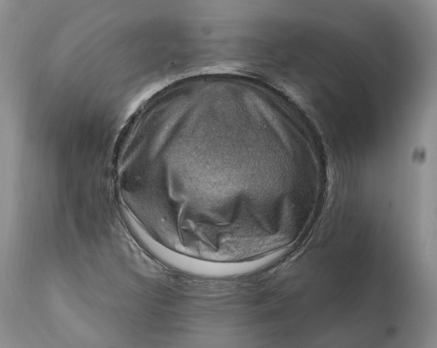 X0000111361308200907241213