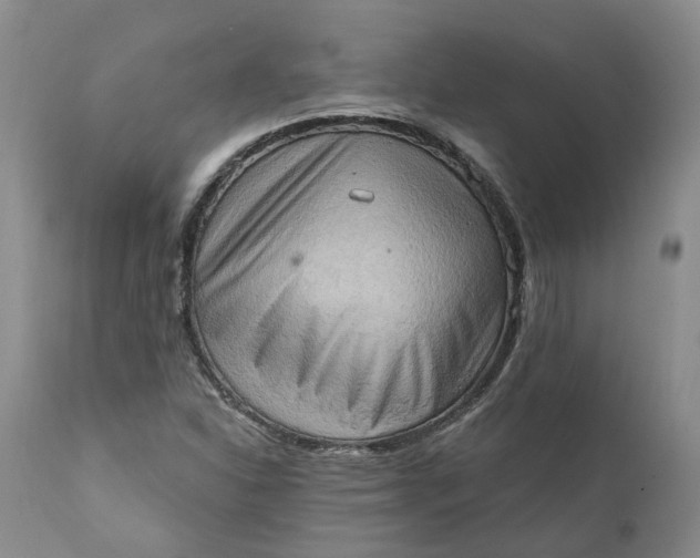 X0000111361310200907241213