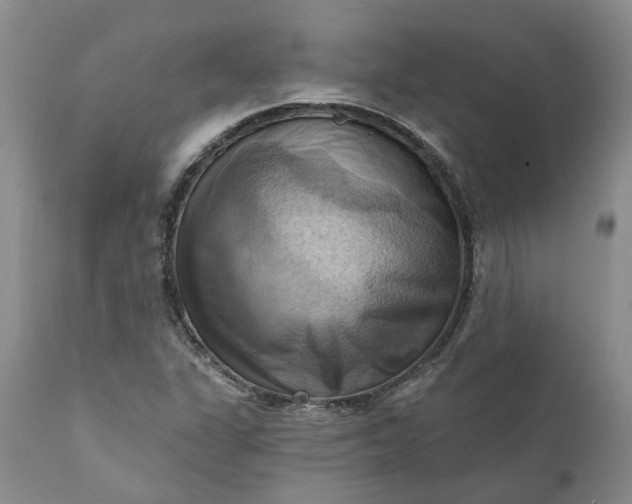X0000111361311200907241213