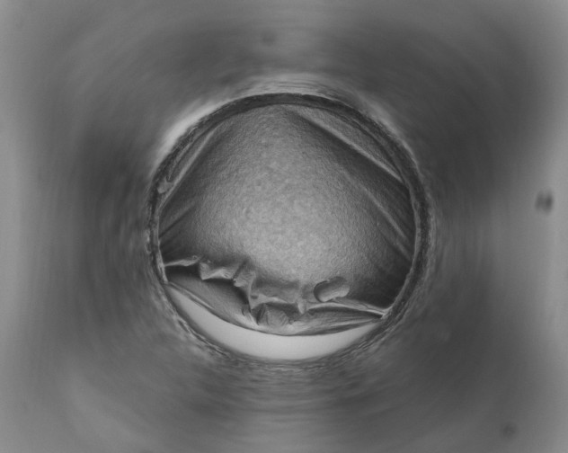 X0000111361312200907241213