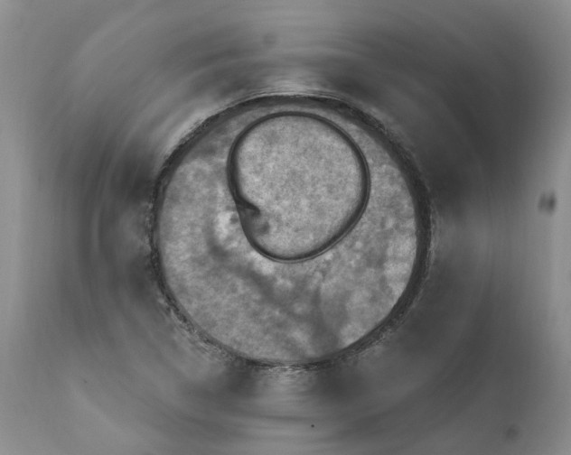 X0000111361314200907241213