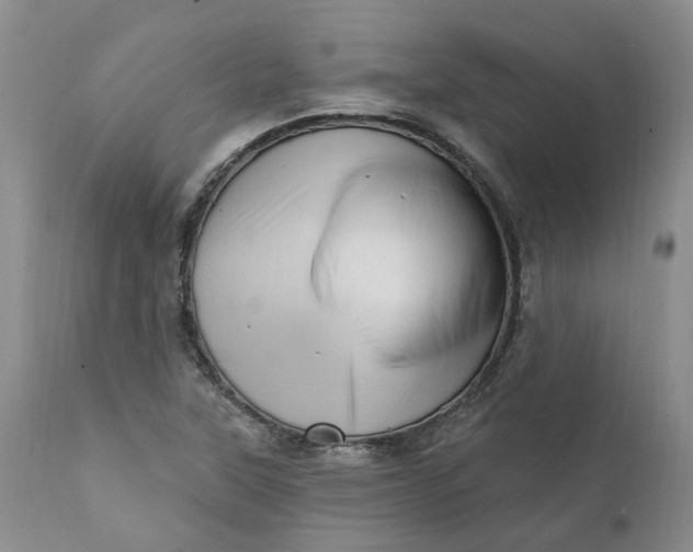 X0000111361315200907241213