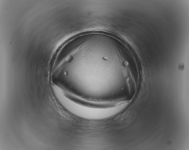 X0000111361316200907241213