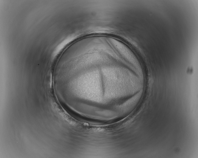 X0000111361317200907241213