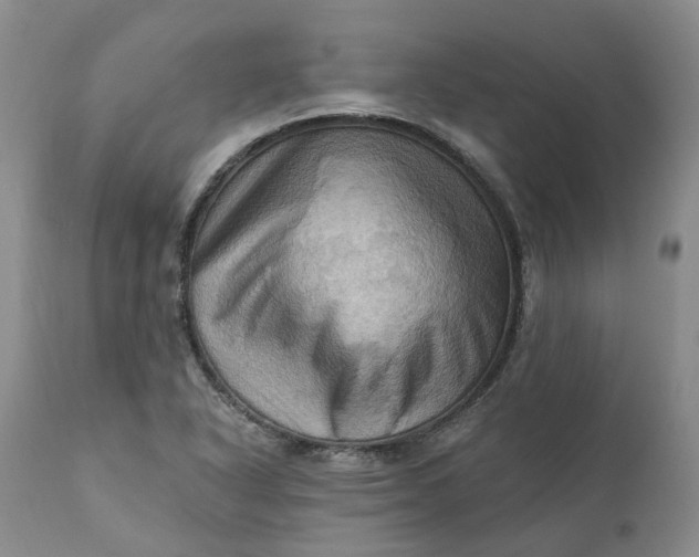 X0000111361318200907241213