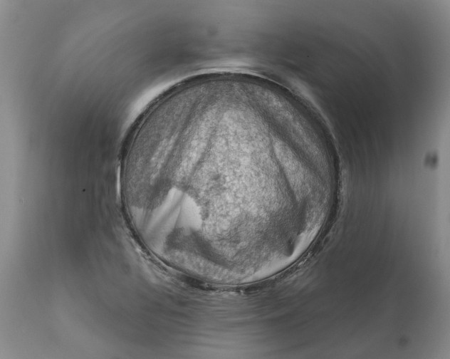 X0000111361320200907241213