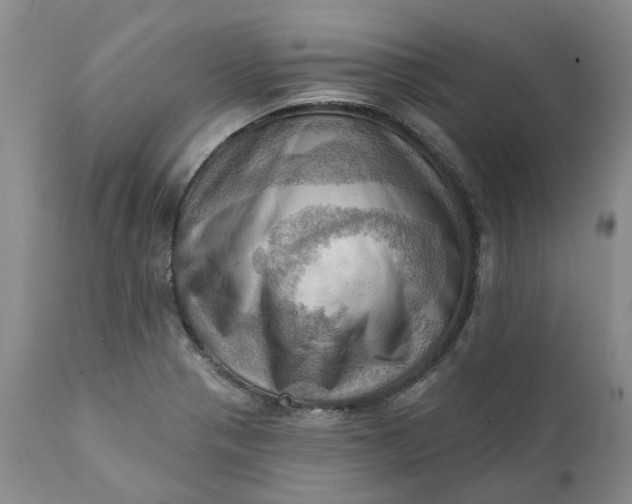 X0000111361321200907241213