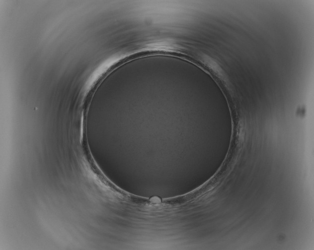 X0000111361323200907241213