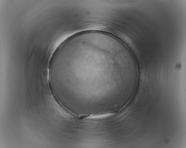 X0000111361324200907241213