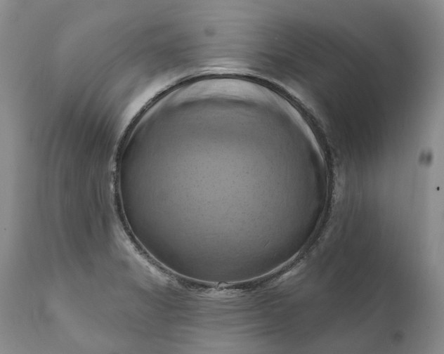 X0000111361325200907241213