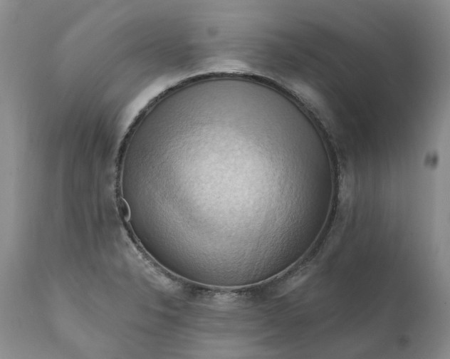 X0000111361326200907241213