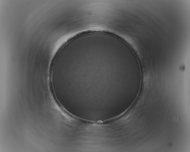 X0000111361327200907241213
