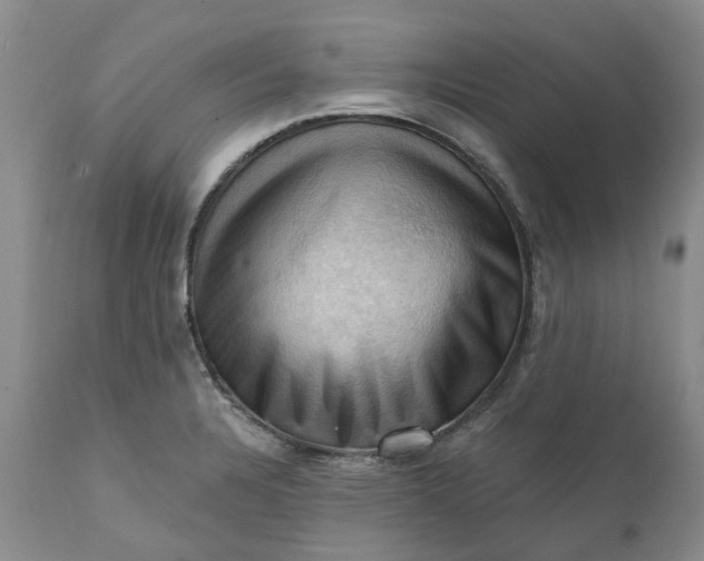 X0000111361328200907241213