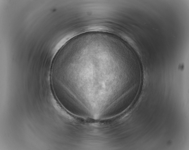 X0000111361330200907241213