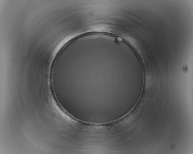 X0000111361331200907241213