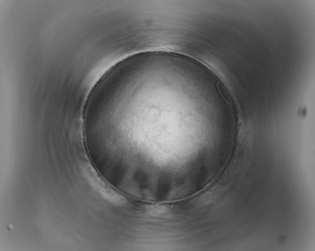 X0000111361332200907241213