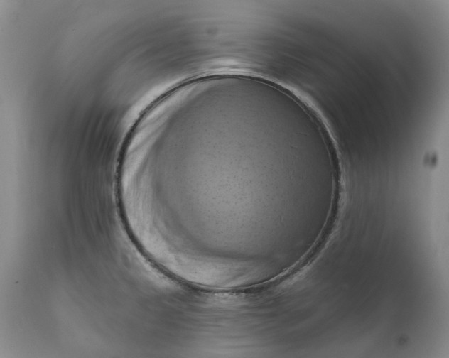X0000111361333200907241213