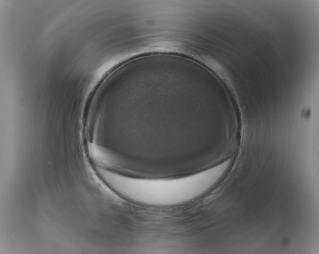 X0000111361334200907241213
