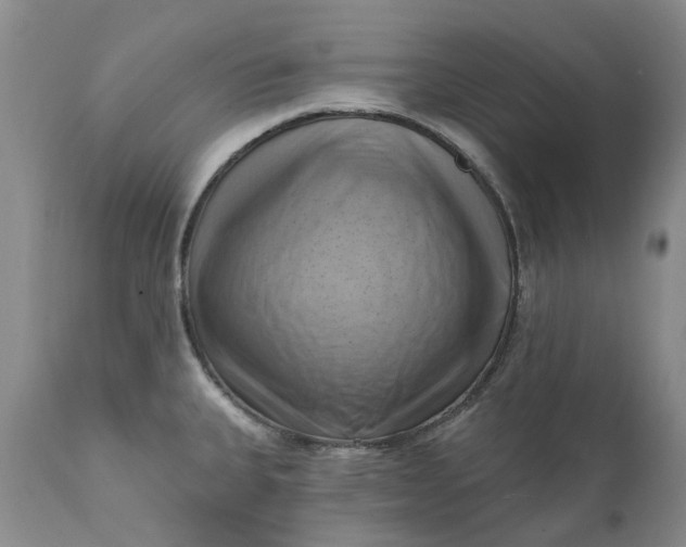 X0000111361335200907241213