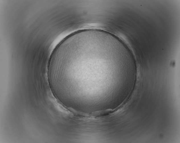 X0000111361336200907241213