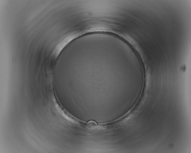 X0000111361337200907241213