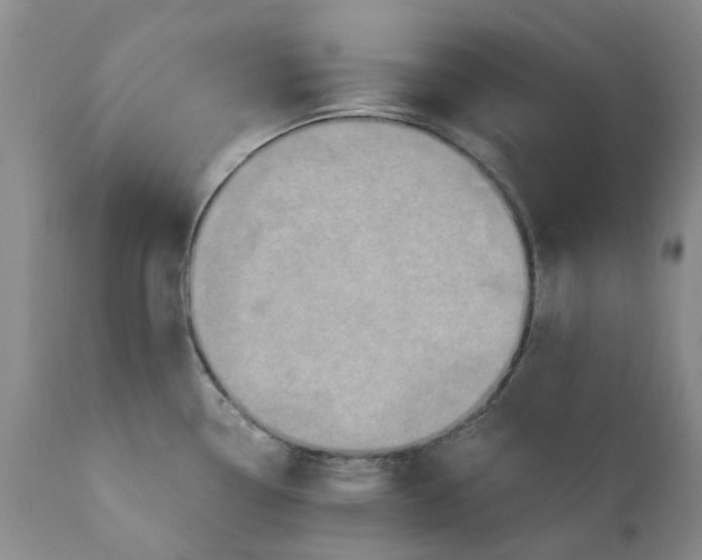 X0000111361338200907241213