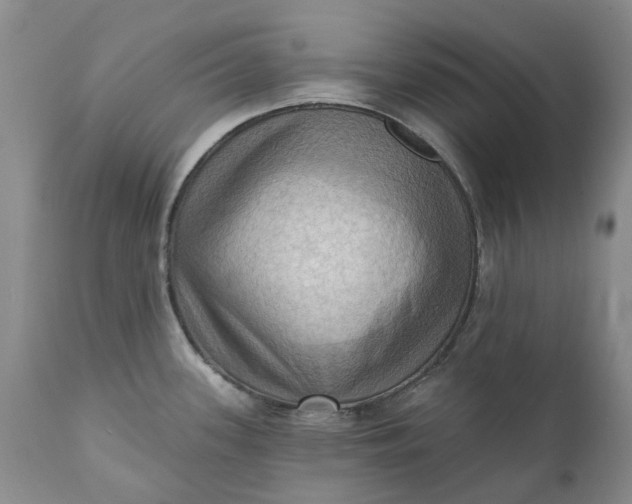 X0000111361339200907241213