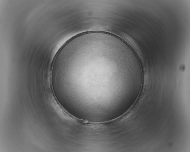 X0000111361340200907241213