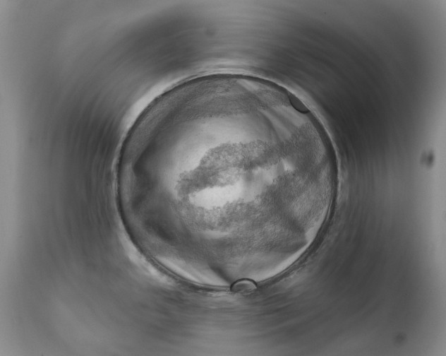 X0000111361341200907241213