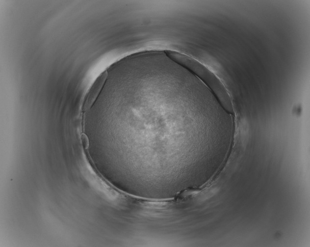 X0000111361342200907241213