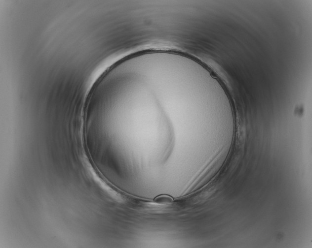 X0000111361343200907241213
