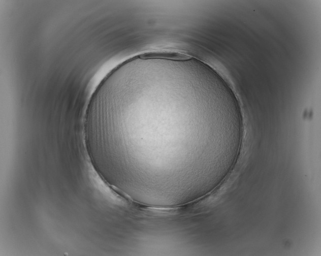 X0000111361344200907241213