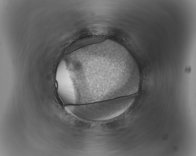 X0000111361345200907241213