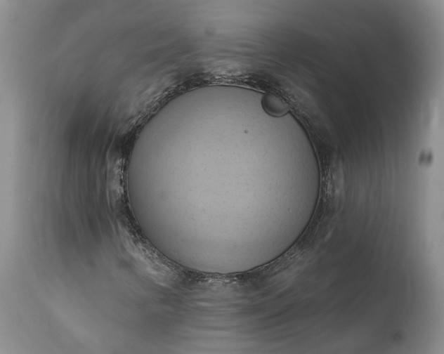 X0000111361346200907241213