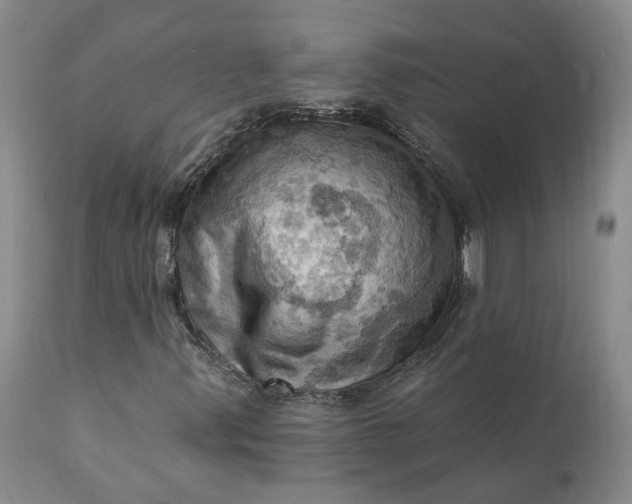 X0000111361347200907241213