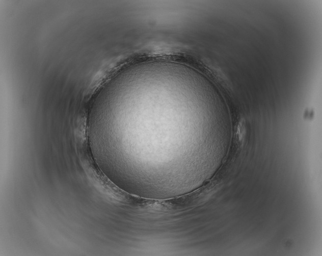 X0000111361348200907241213