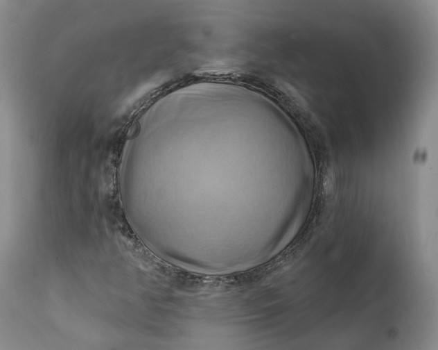 X0000111361350200907241213