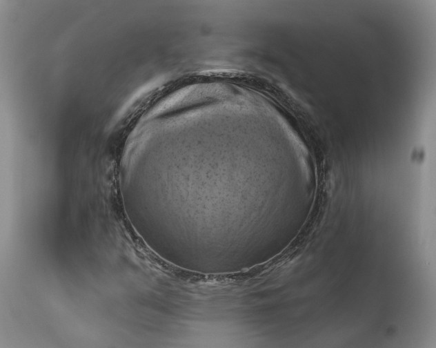 X0000111361351200907241213