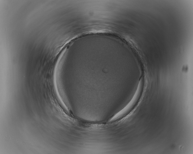 X0000111361353200907241212
