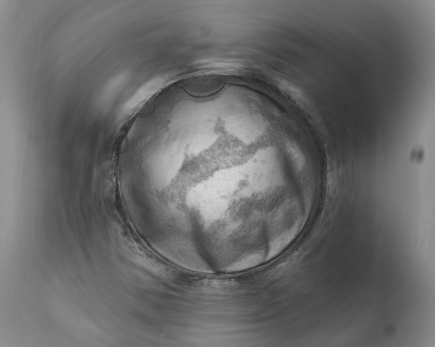 X0000111361354200907241212